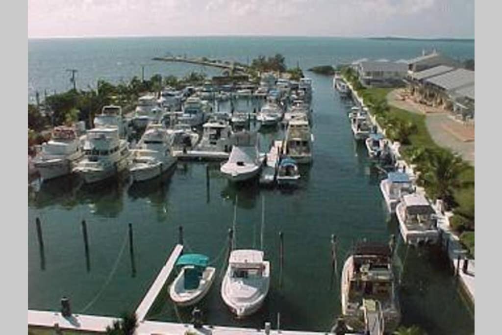 Licensed Mgr - 2/2 Villa - Oceanfront Beach Resort - Saltwater Lagoon & Marina! Key Largo Exterior foto